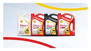 La Gamme Shell Rimula