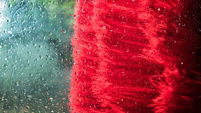 voiture recouverte de feuilles